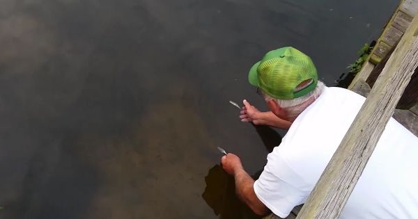 【ワイルド】釣竿も針も使わずに魚を獲る豪快なじいさんがスゴいｗ